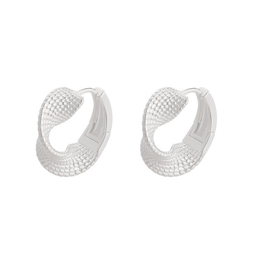 Geometric Circle Twisted Texture Earrings