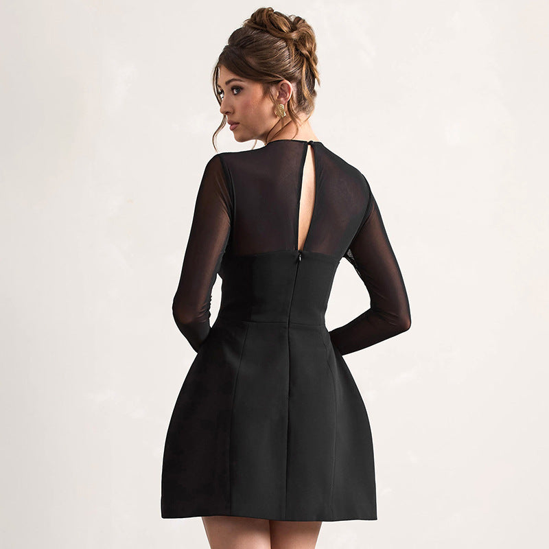 Casandra Clothing - Elegant Mini Dress